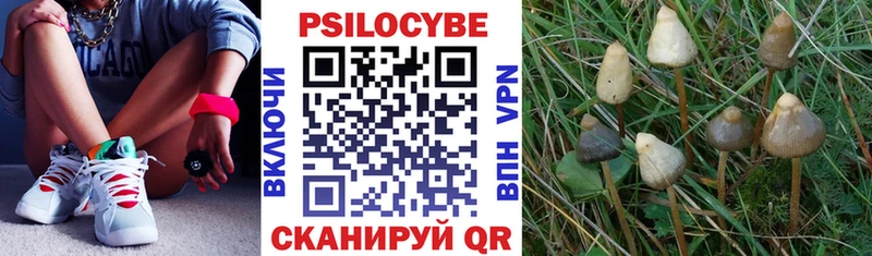 Псилоцибиновые грибы Magic Shrooms  Белоусово 
